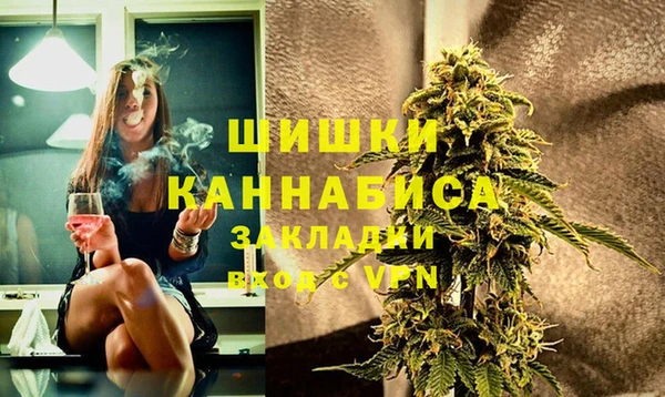 PSILOCYBIN Алзамай