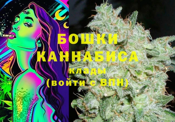 PSILOCYBIN Алзамай