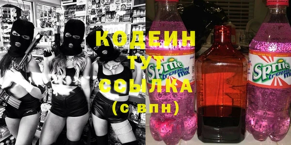 PSILOCYBIN Алзамай